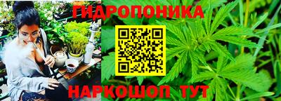 марихуана Краснознаменск