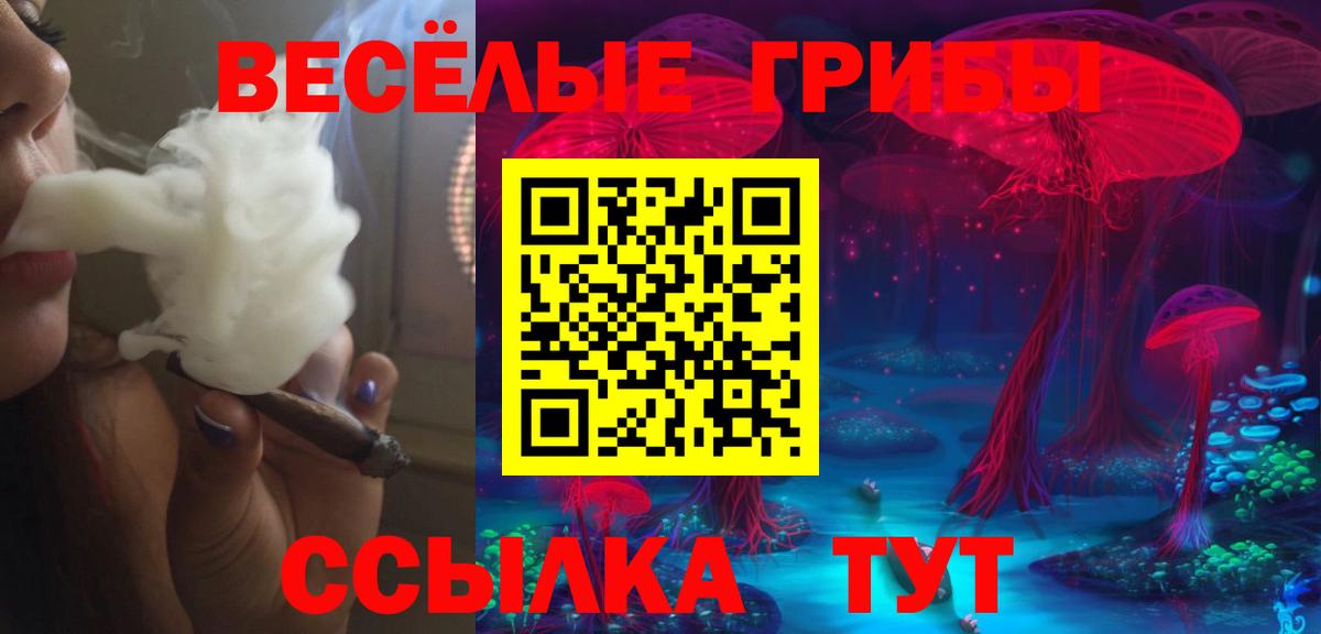 Псилоцибиновые грибы Psilocybine cubensis Сухой Лог